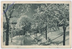 ak182289 Winterweg