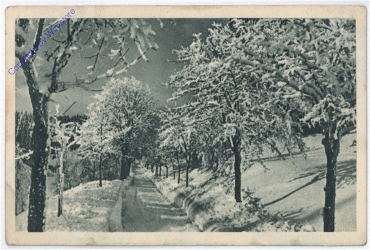 Winterweg