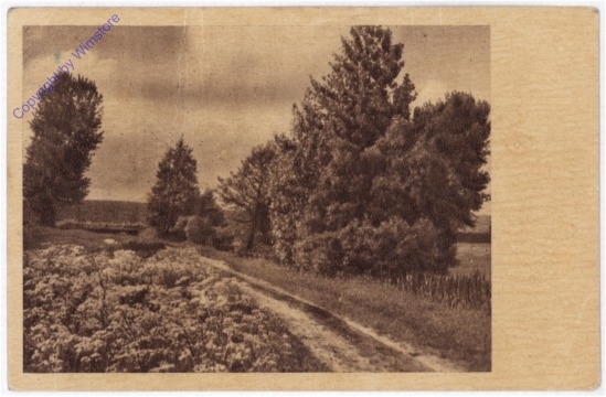 ak182291 Feldweg