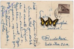 ak182291a Feldweg