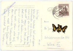 Mecki: Gut angekommen