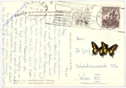 Mecki: Gruß aus der Winterfrische