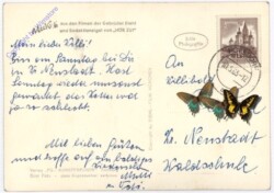 Mecki: Auch das wird wieder gut