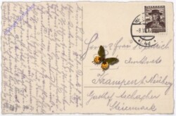 Mädchen mit Blumen, Namenstag