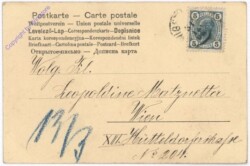 Dame mit Glücksschwein