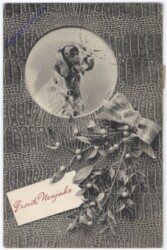 Hundeportrait