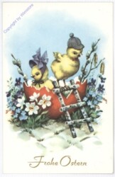 Kücken mit Eierschale