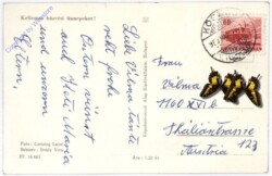 Schweinchen sucht Ostereier