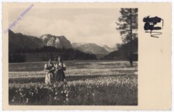 Mädchen auf Blumenwiese