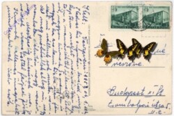 ak182379a Mädchen mit Eiern und Kücken
