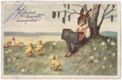 ak182380 Hase mit Kücken