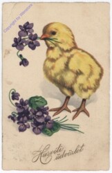 Kücken mit Blume im Schnabel