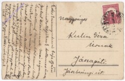 Kücken mit Blume im Schnabel