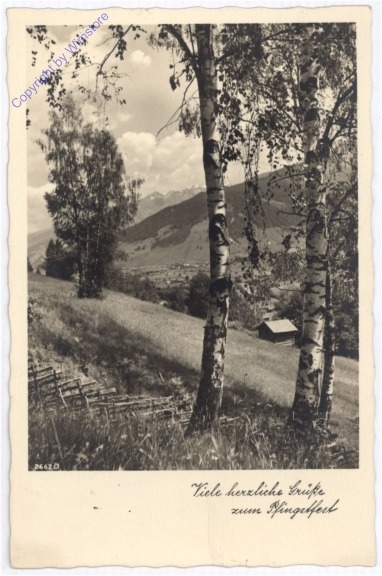 Aussicht ins Tal
