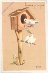 Tauben im Vogelhaus