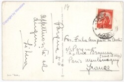 Osterglocken und Lämmer