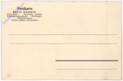 ak182434a Tiroler Volkstrachten XXIV: Sarntal