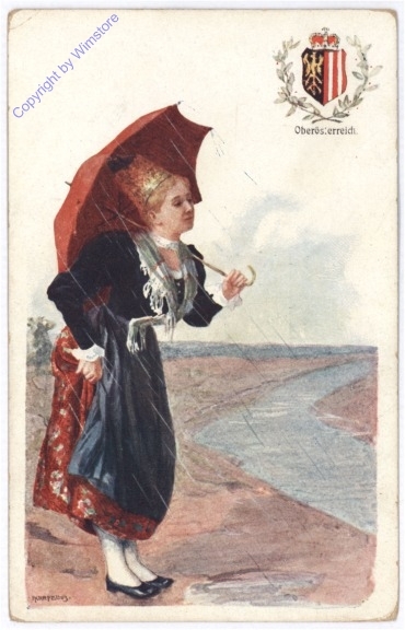ak182456 Tracht aus Oberösterreich
