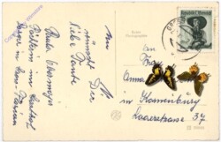 ak182468a Verschneite Aussicht