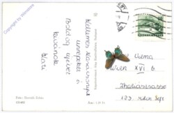 ak182470a Kerzengesteck