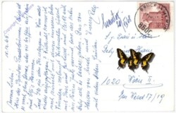 Verschneiter, beleuchteter Pavillion