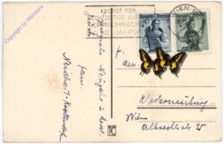 ak182498a Rehe auf Wanderung