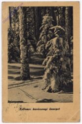Verschneiter Wald