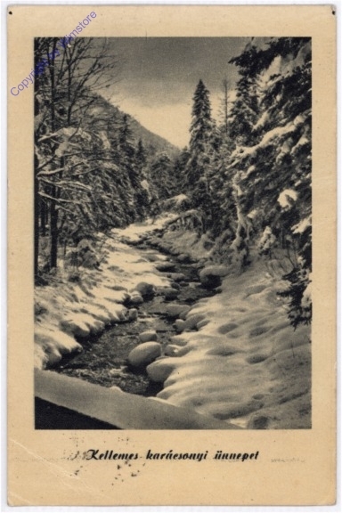 Verschneiter Wald