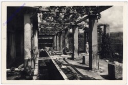 ak183104 Pompei, Casa di Loreio Tiburtino