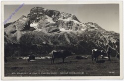 Croda Rossa, sul Pascolo a Prato Piazza