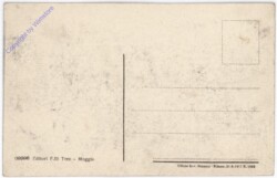 Moggio Udinese, Panorama