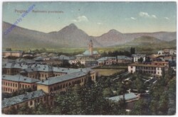 Pergine, Manicomio provinciale