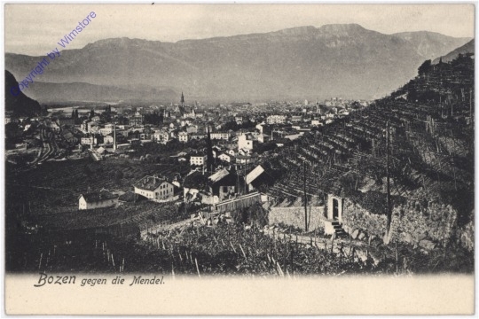 ak183265 Bolzano (Bozen), gegen die Mendel