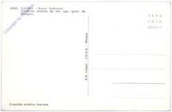 Napoli, Museo Nazionale - Cinghiale assalito da due cani