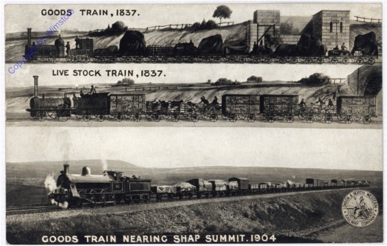 Goods Train nearing Shap Summit