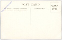 Royal Saloons, Multiansicht