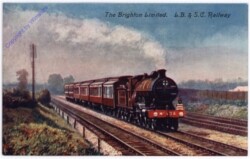 The Brighton Limited