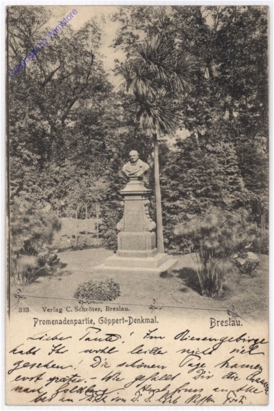 ak184298 Breslau, Promenadenpartie, Göpper-Denkmal