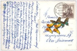 Bad Tatzmannsdorf, Ansicht