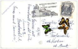 Eisenstadt, Multiansicht
