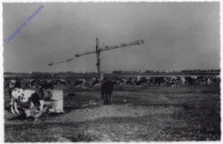Illmitz, Puszta, Seewinkel
