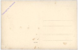 Neusiedlersee, Ansicht