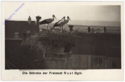 ak184498 Rust, Störche