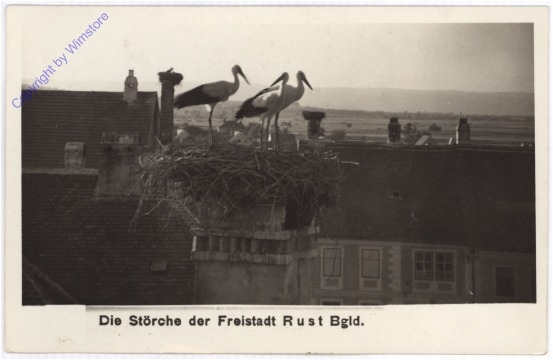 ak184498 Rust, Störche