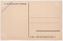 Au, Ortsansicht