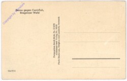 ak184515a Bezau, Ortsansicht