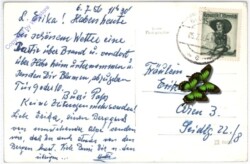 Bludenz, Burtscha Alpp mit Zwölfer und Zimba