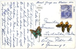 Brand, mit Scesaplana