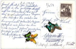 ak184607a Lingenau, Ansicht