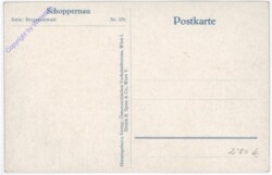 Schoppernau, Ansicht